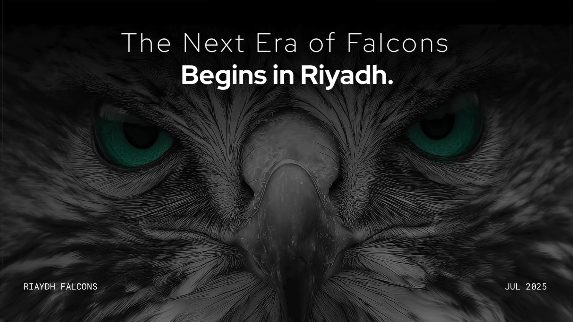 Riyadh Falcons — page 2