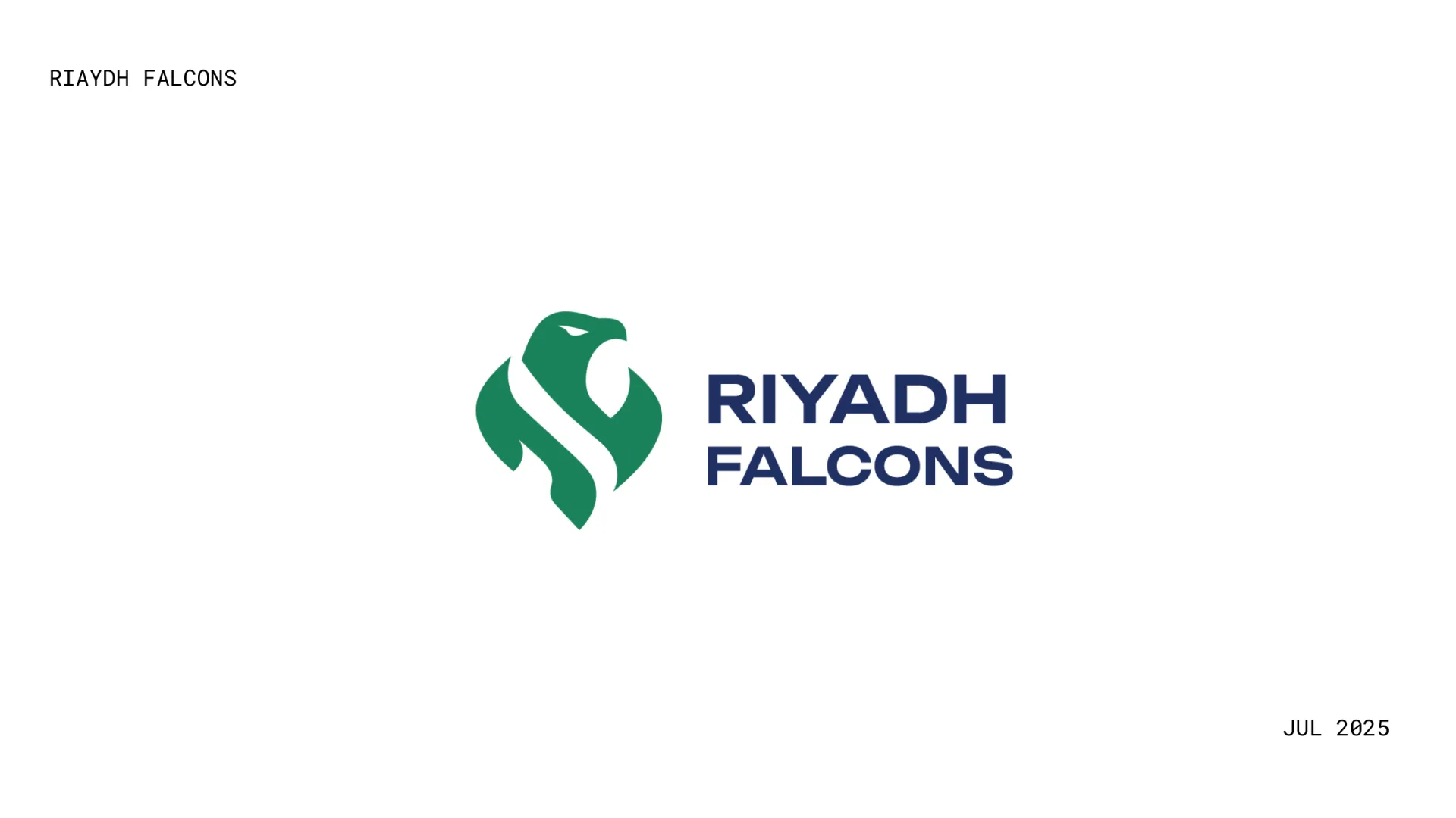 Riyadh Falcons — page 6