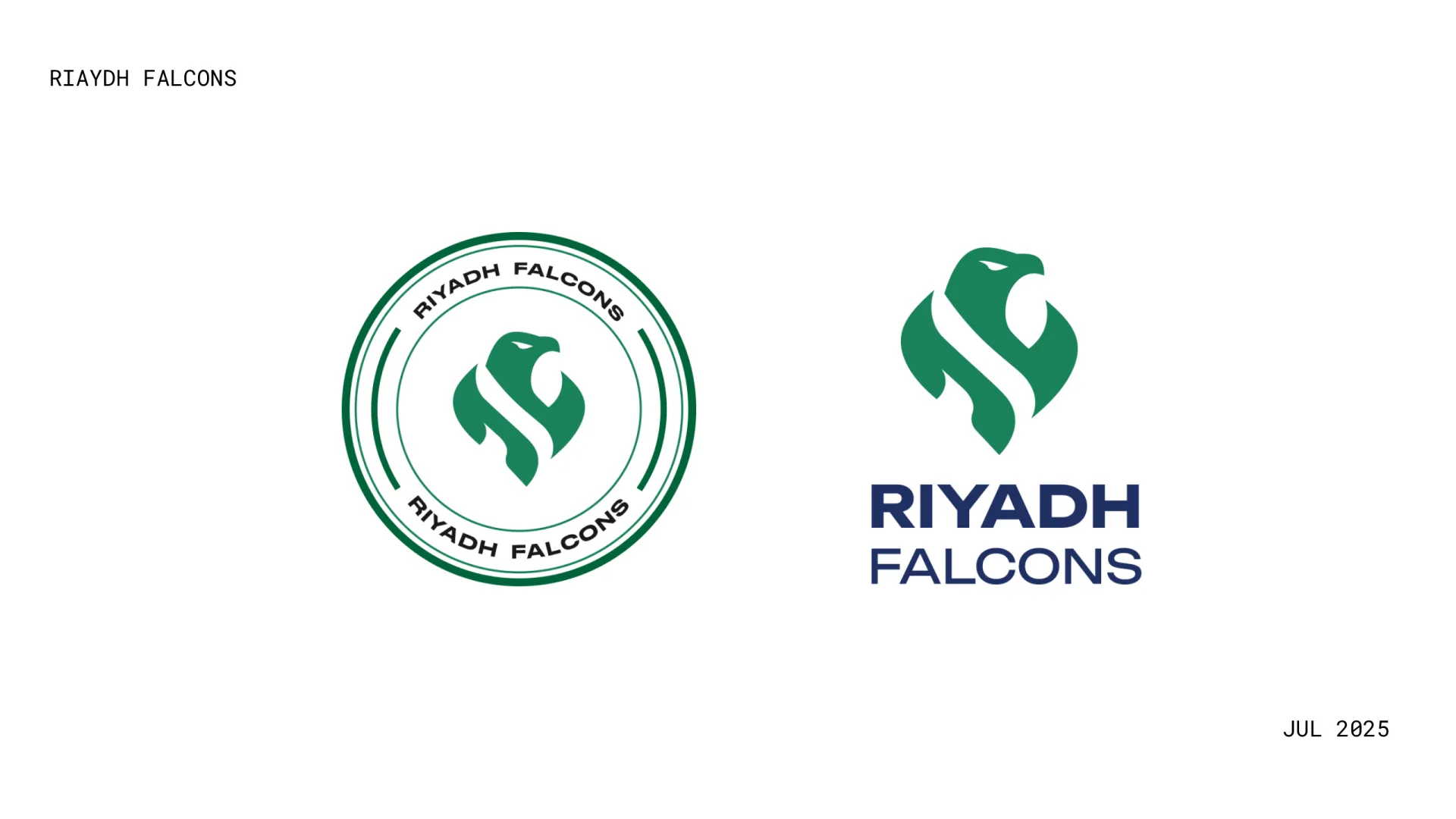 Riyadh Falcons — page 7