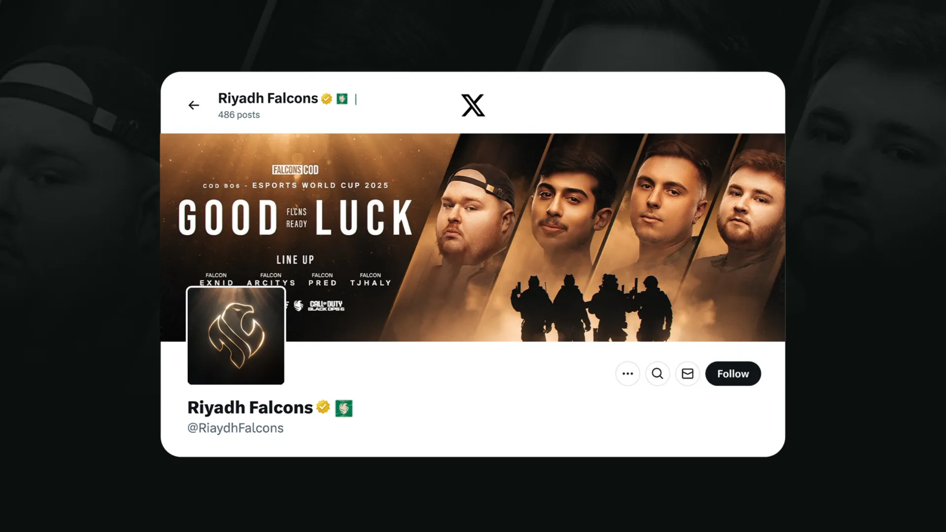 Riyadh Falcons — page 12