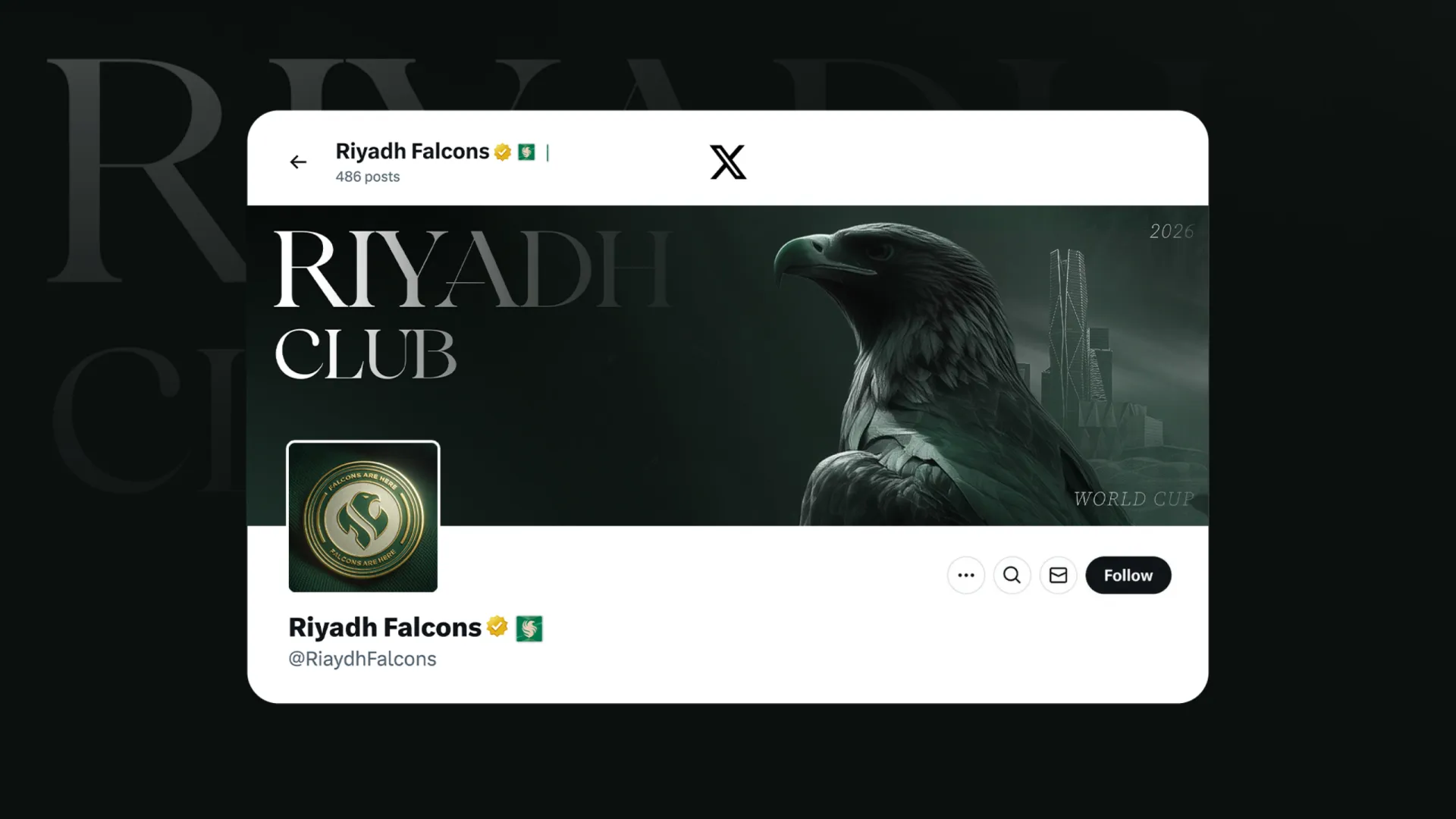 Riyadh Falcons — page 13
